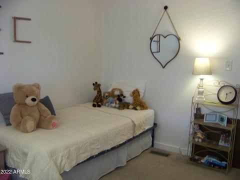 7317 E Balmoral Ave, Mesa, AZ 85208 photo 18