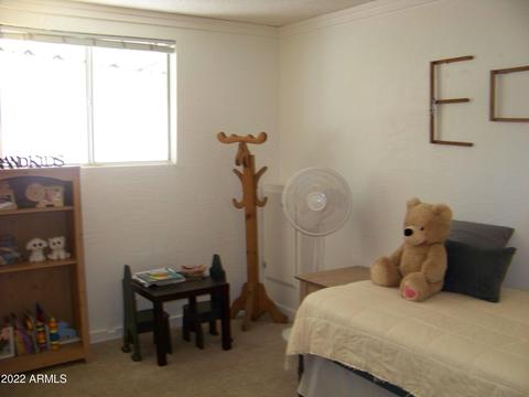 7317 E Balmoral Ave, Mesa, AZ 85208 photo 17