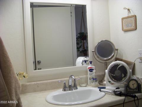 7317 E Balmoral Ave, Mesa, AZ 85208 photo 13