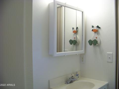 7317 E Balmoral Ave, Mesa, AZ 85208 photo 16