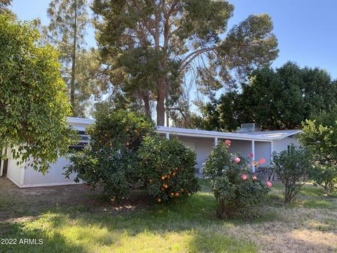 112 E Carter Rd, Phoenix, AZ 85042 photo 23