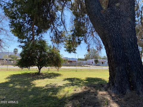 112 E Carter Rd, Phoenix, AZ 85042 photo 5