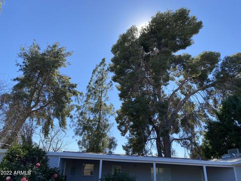 112 E Carter Rd, Phoenix, AZ 85042 photo 24