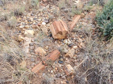 5453 Valley Rd, Snowflake, AZ 85937 photo 3