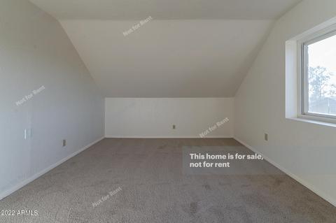 4530 E Princess Dr, Mesa, AZ 85205 photo 26