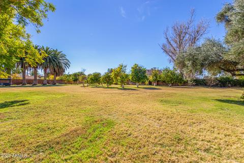 2105 E Huber St, Mesa, AZ 85213 photo 47