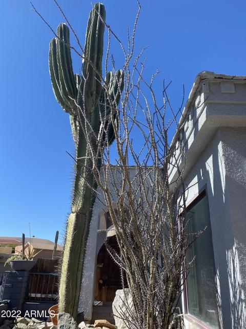 20 W Beryl Ave, Phoenix, AZ 85021 photo 53