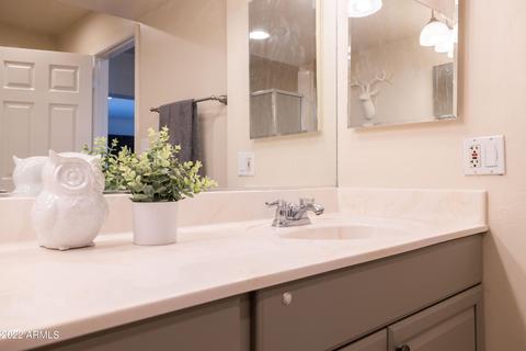 4628 E Oak St, Phoenix, AZ 85008 photo 40