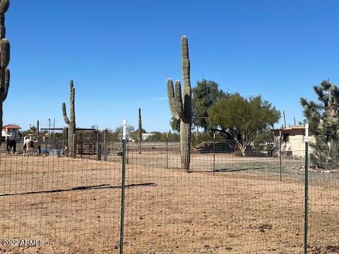 22170 E Cactus Forest Rd, Florence, AZ 85132 photo 24