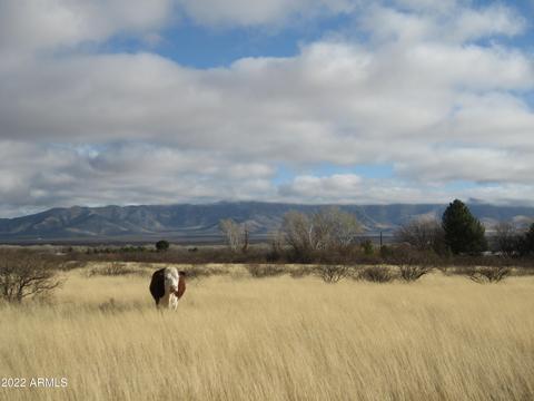 Tbd E Boundary Road, Hereford, AZ 85615