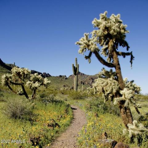 7104 E Nutt Rd, Picacho, AZ 85141 photo 41