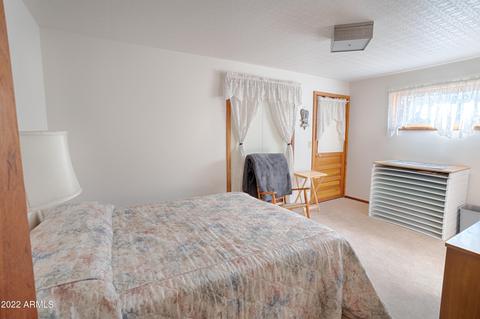 2889 Lejo Rd, Overgaard, AZ 85933 photo 13