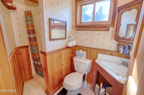 2889 Lejo Rd, Overgaard, AZ 85933 photo 17