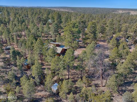2889 Lejo Rd, Overgaard, AZ 85933 photo 27