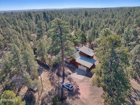 2889 Lejo Rd, Overgaard, AZ 85933 photo 6