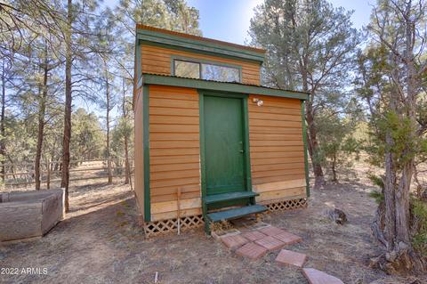 2889 Lejo Rd, Overgaard, AZ 85933 photo 5