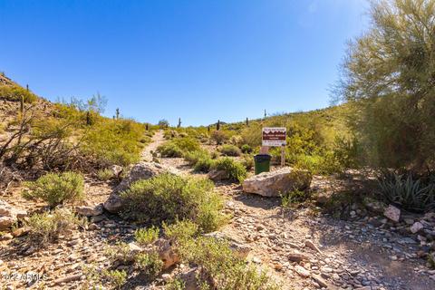 3357 E Hatcher Rd, Phoenix, AZ 85028 photo 31