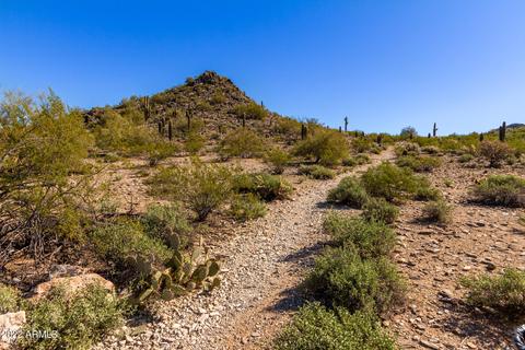 3357 E Hatcher Rd, Phoenix, AZ 85028 photo 33