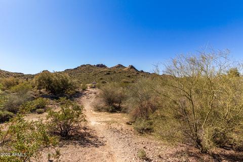 3357 E Hatcher Rd, Phoenix, AZ 85028 photo 36