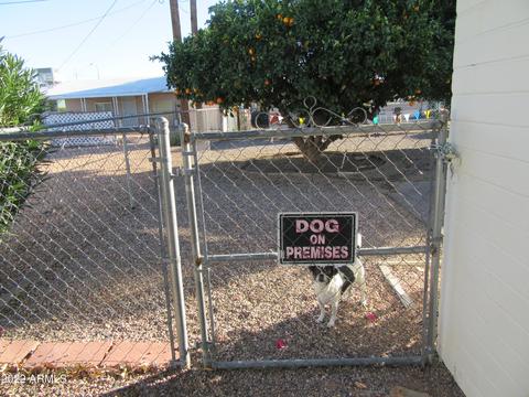 5725 E Colby St, Mesa, AZ 85205 photo 59