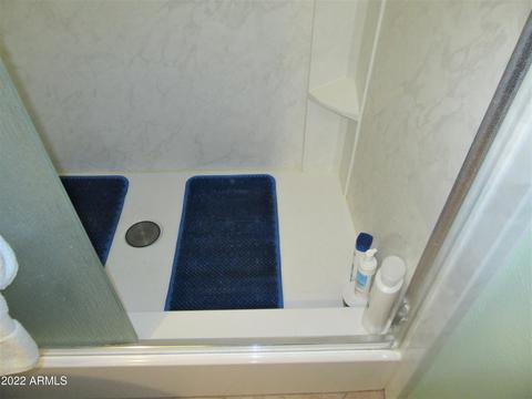 5725 E Colby St, Mesa, AZ 85205 photo 63