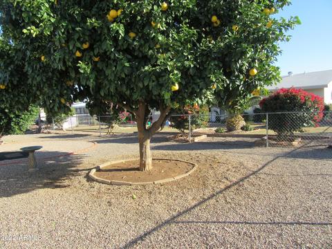 5725 E Colby St, Mesa, AZ 85205 photo 49