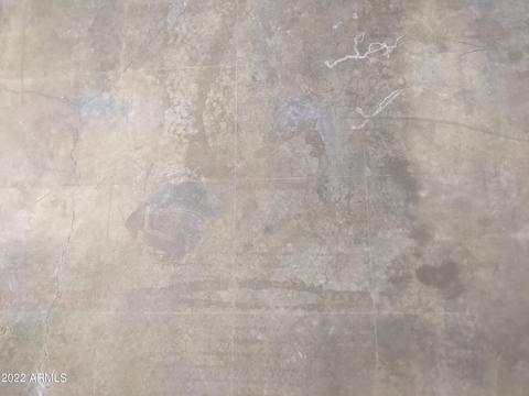 3540 E Pierce St, Phoenix, AZ 85008 photo 16