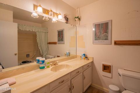 2832 E Aster Dr, Phoenix, AZ 85032 photo 26