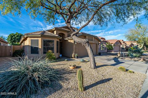 4509 E Lone Cactus Dr, Phoenix, AZ 85050 photo 2