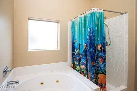 243 S Cactus Rd, Apache Junction, AZ 85119 photo 16