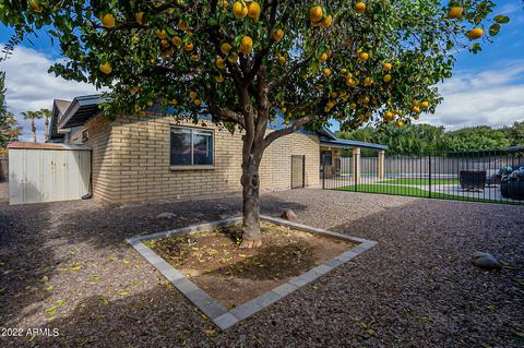 1855 N Barkley St, Mesa, AZ 85203 photo 52
