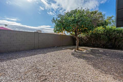 1855 N Barkley St, Mesa, AZ 85203 photo 51