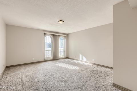 2832 E Sylvia St, Phoenix, AZ 85032 photo 14