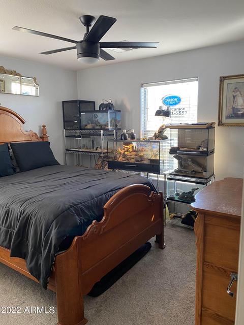 3348 E Franklin Ave E, Gilbert, AZ 85295 photo 13