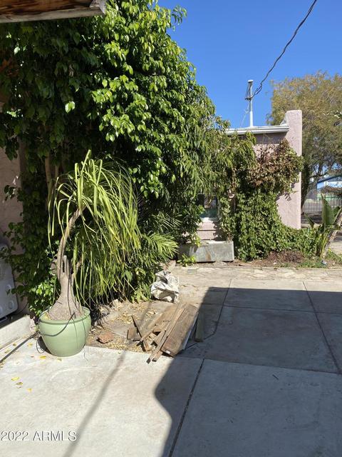 341 E Carol Ave, Phoenix, AZ 85020 photo 26