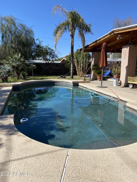 341 E Carol Ave, Phoenix, AZ 85020 photo 8