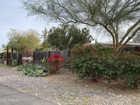 341 E Carol Ave, Phoenix, AZ 85020 photo 28