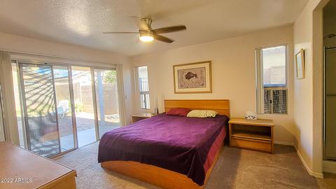 4234 E Morrow Dr, Phoenix, AZ 85050 photo 15