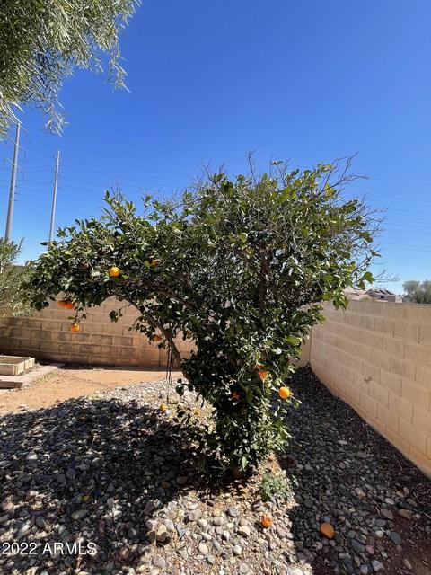 661 S Peppertree Dr, Gilbert, AZ 85296 photo 41