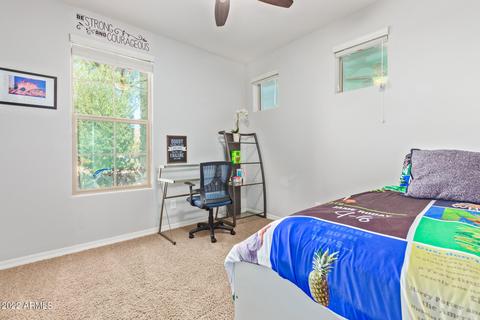 10507 E Sheffield Dr, Mesa, AZ 85212 photo 16