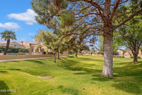 921 S Abalone Dr, Gilbert, AZ 85233 photo 29