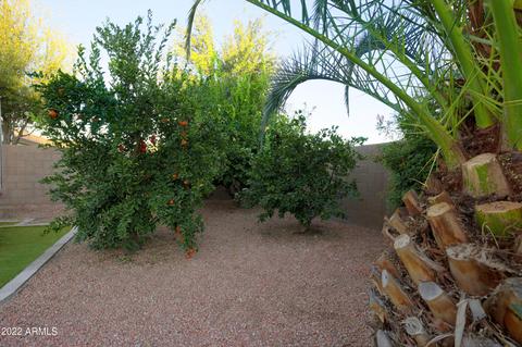 3685 E Bartlett Way, Chandler, AZ 85249 photo 40