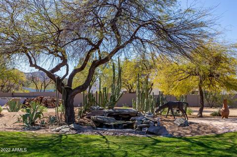 3725 E Via Estrella --, Phoenix, AZ 85028 photo 36