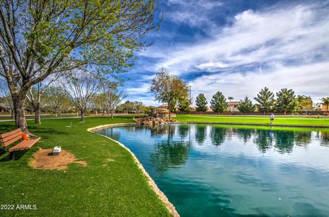4288 E Blue Sage Ct, Gilbert, AZ 85297 photo 66