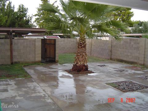 2146 Ellis Dr, Tempe, AZ 85282 photo 3