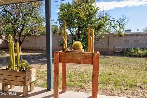 667 E 8th St, Mesa, AZ 85203 photo 21