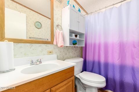 11256 E Mercury Dr, Apache Junction, AZ 85120 photo 19