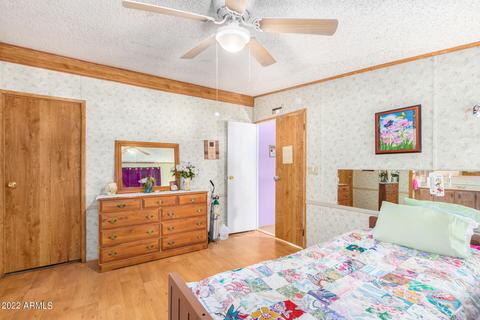 11256 E Mercury Dr, Apache Junction, AZ 85120 photo 14