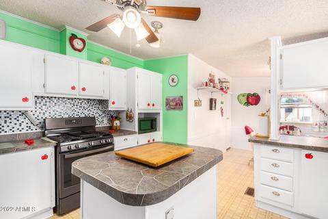11256 E Mercury Dr, Apache Junction, AZ 85120 photo 10