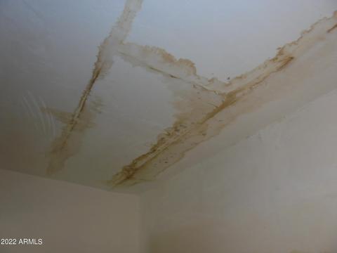 2033 E Villa Rita Dr, Phoenix, AZ 85022 photo 36